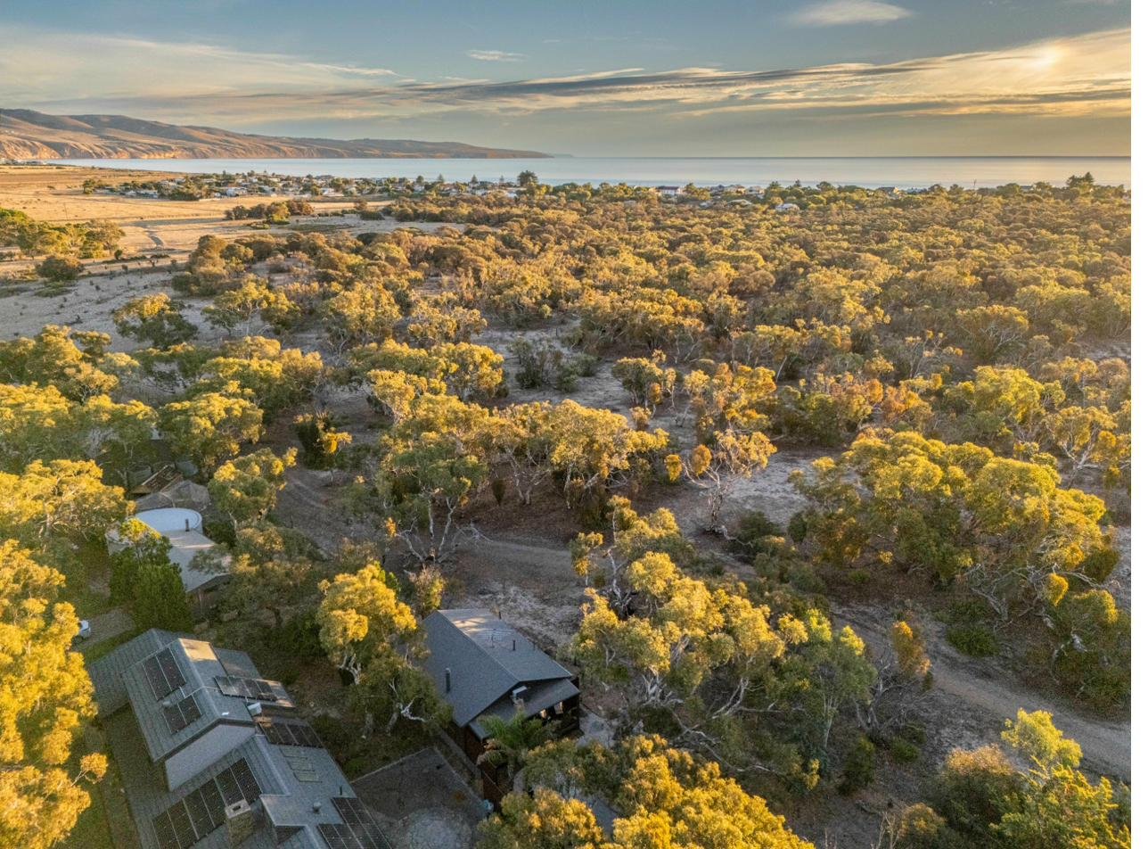 Aerial: bush and ocean