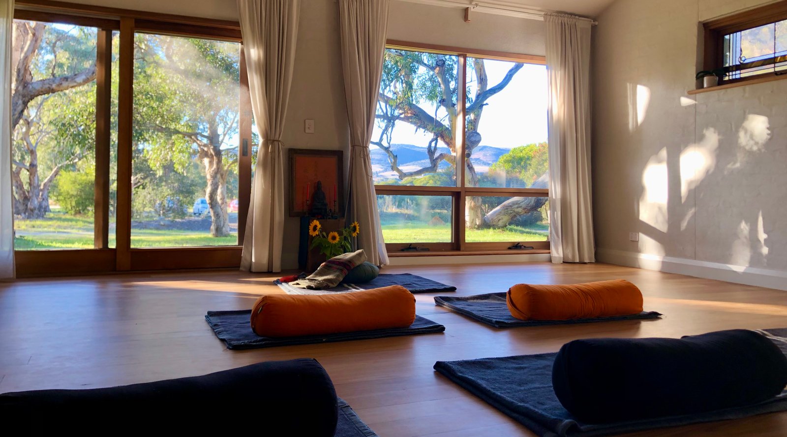 Wellness treatments at Alula