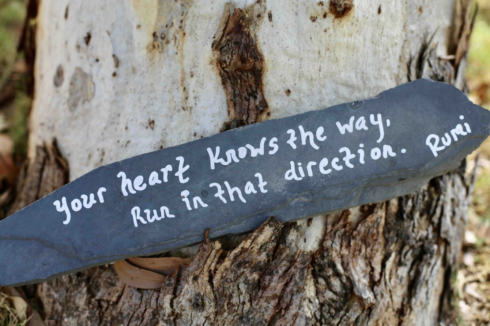 Your heart knows the way. Run in that direction. — Rumi